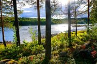 Morning atmosphere at a lake in Sweden