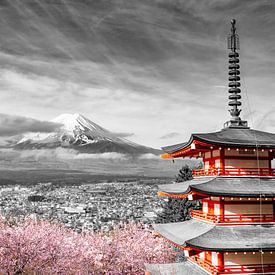 Prachtig uitzicht op de berg Fuji met de Chureito pagode tijdens het kersenbloesemseizoen van Melanie Viola