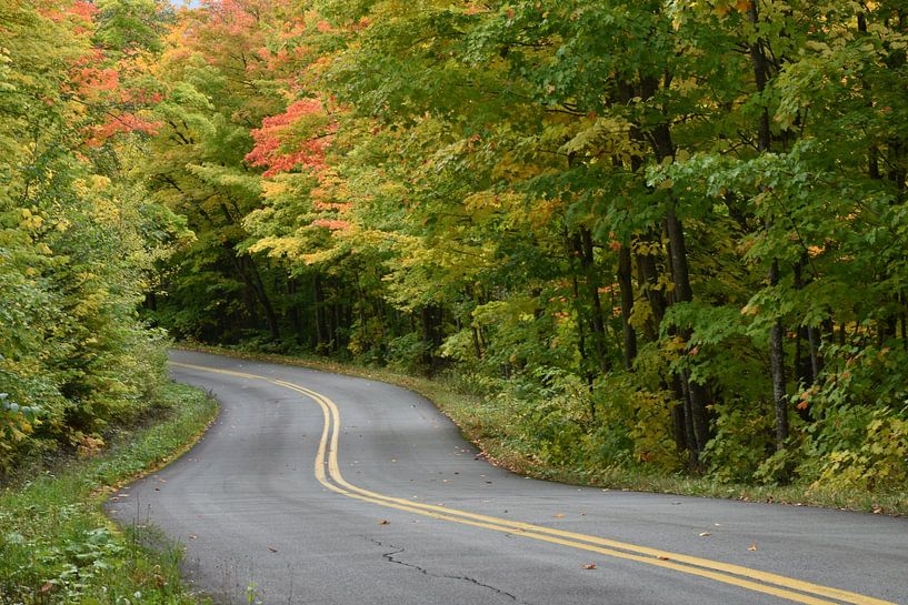 A country road in autumn by Claude Laprise