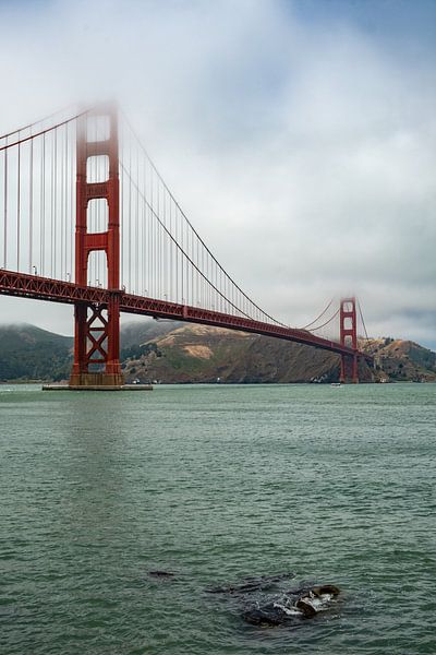 De Golden Gate brug in nevelen gehuld van Harry Kors