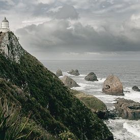 Nugget Point in New Zealand by Sophia Eerden