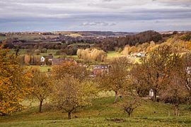 Dateien von Rob Boon