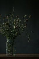 Stilleven van een boeket droogbloemen