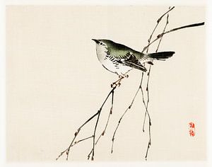 Illustration d'oiseau japonais par Kōno Bairei sur Studio POPPY