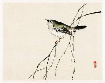 Japanische Vogel-Illustration von Kōno Bairei