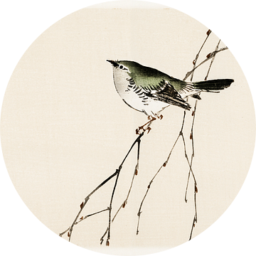 Japanse vogel illustratie door Kōno Bairei van Studio POPPY