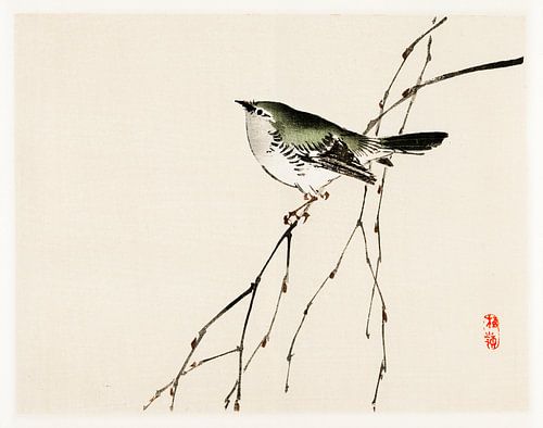 Japanse vogel illustratie door Kōno Bairei