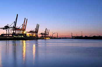 Altenwerder in the evening VII