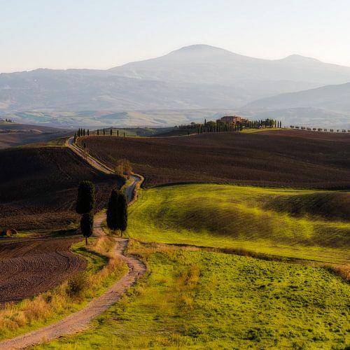 Der Weg zum Bauernhof aus dem Film "Der Gladiator" in der Region Val d'Orcia in der Toskan