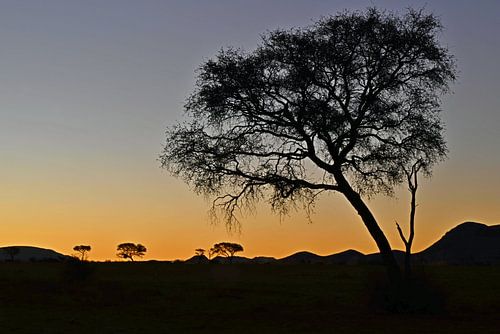 COUCHER DE SOLEIL 4