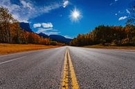 Jasper Road von Calgary nach Vancouver von Bibi Veth Miniaturansicht