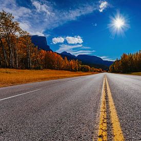 Jasper Road von Calgary nach Vancouver von Bibi Veth