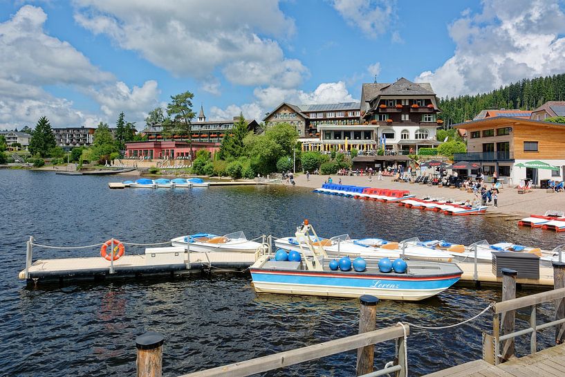 Titisee in het Zwarte Woud van Gisela Scheffbuch