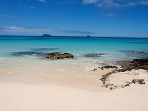 Prachtig strand, Galapagos