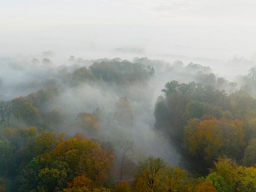 Mistig bos vanuit de lucht tijdens de herfst