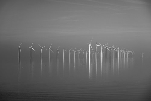 Des éoliennes qui se reflètent près d'Urk