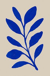 Tige d'indigo No 02