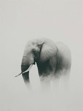 Misty Majesty - L'éléphant en monochrome sur Eva Lee