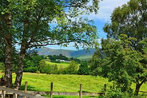 La vallée de Naddle dans le Lake District sur Gisela Scheffbuch