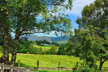 The Naddle Valley in the Lake District by Gisela Scheffbuch
