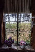 Fenster