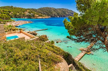 Îles Baléares, belle vue en bord de mer de la baie de Camp de Mar sur Alex Winter