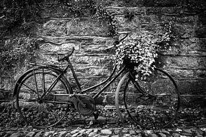Ladies bike with Geraniums in Durbuy by Evert Jan Luchies