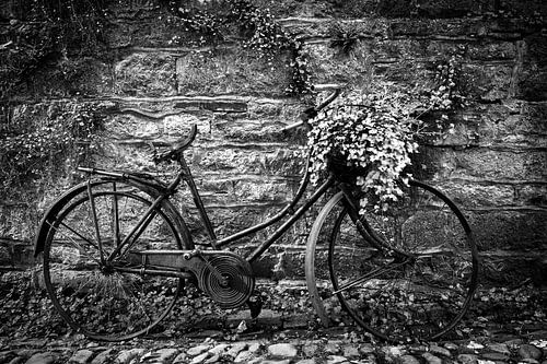 Ladies bike with Geraniums in Durbuy