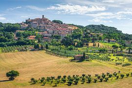 Das Dorf Casale Marittimo mit Olivenhain in der toskanischen Landschaft von Stefano Orazzini