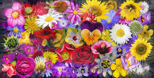 Explosion de couleurs florales