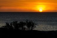 Zonsondergang op Curaçao van René Rietbroek thumbnail