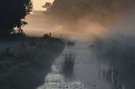 Zonsopgang, mist en water van Pauline Bergsma thumbnail