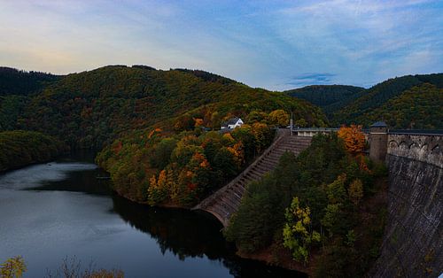 la maison blanche parmi les arbres verts