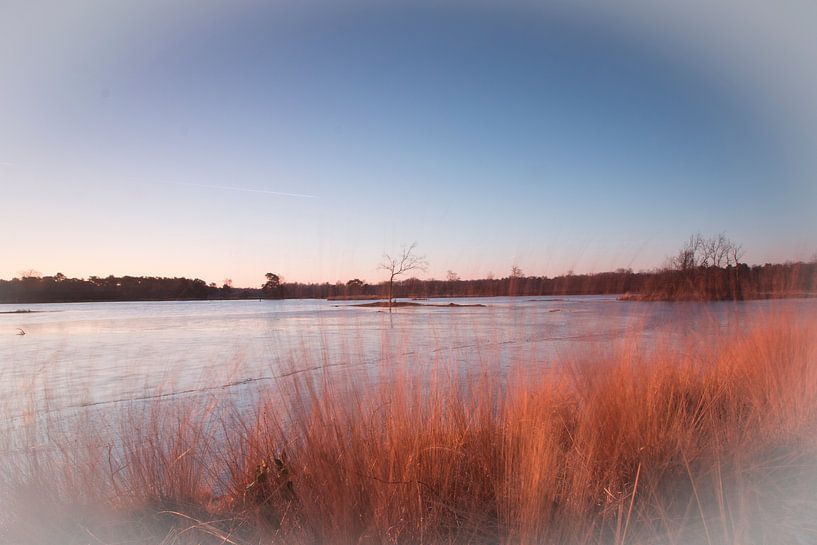 IJsbeeld bij zonsopgang van Yvonne van Leeuwen