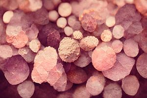 Pink Pepples
