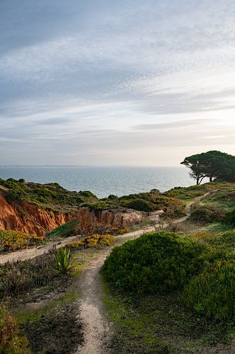 Paradies der Wildpflanzen und Meerblick - Lagos, Algarve