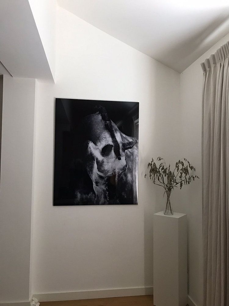 Equine Fine Art  by Estelle Roelofs 