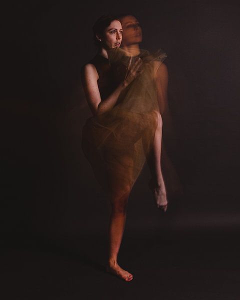 Ballerina in motion with slower shutter 02 by FotoDennis.com | Werk op de Muur