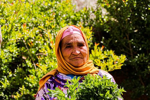 Moroccan woman in her garden with mint