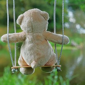 Bear on swing from the back. by Sailographic Paula