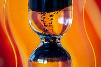 Die Zeit vergeht wie im Flug