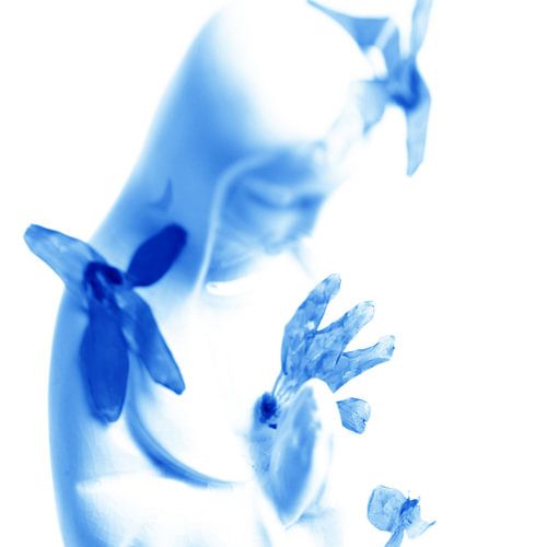 Delftsblauwe Maria - 15