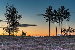 Zonsondergang bij natuurgebied Den Treek in Leusden van Karin Riethoven