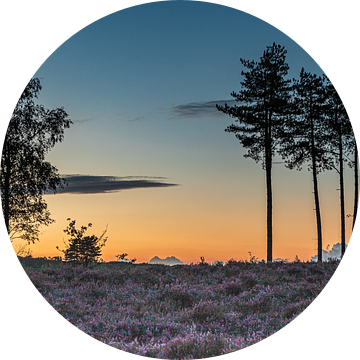 Zonsondergang bij natuurgebied Den Treek in Leusden van Karin Riethoven