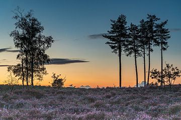 Zonsondergang bij natuurgebied Den Treek in Leusden van Karin Riethoven
