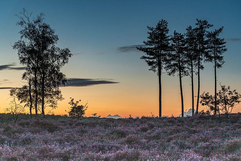 Sunset at nature reserve Den Treek in Leusden by Karin Riethoven