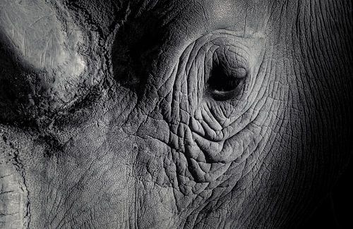 Last van wallen onder je ogen? Vraag hem!!