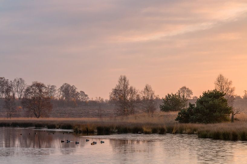 Sunrise Mood by wimke247