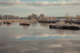 landscape driesum friesland by anne droogsma
