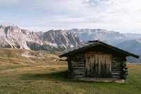 A typical wooden mountain barn in an insane